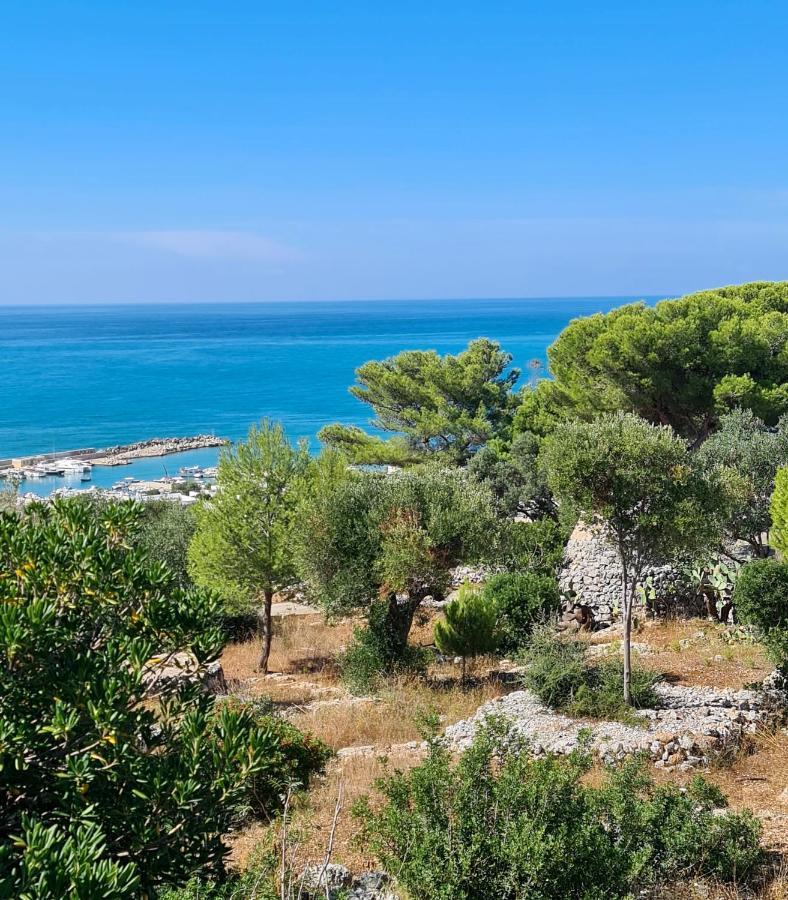Panoramica Sunset House Holiday home *